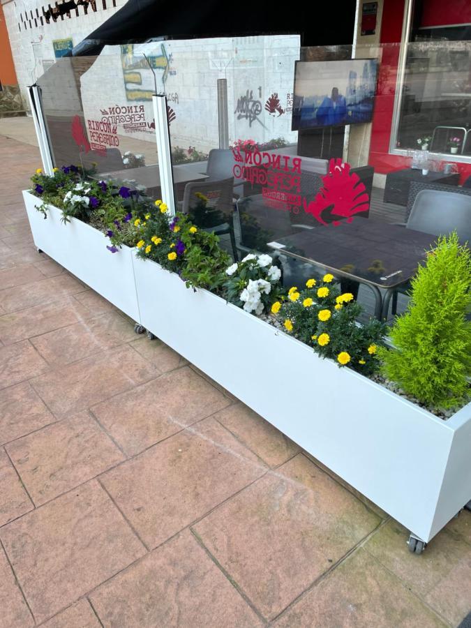 Albergue Rincon Del Peregrino Porrino-Pleno Centro-City Center Buitenkant foto